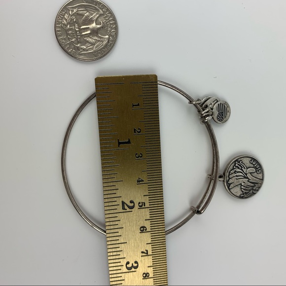 Alex and Ani Silver Bangle Sister Charm bracelet - Picture 9 of 14